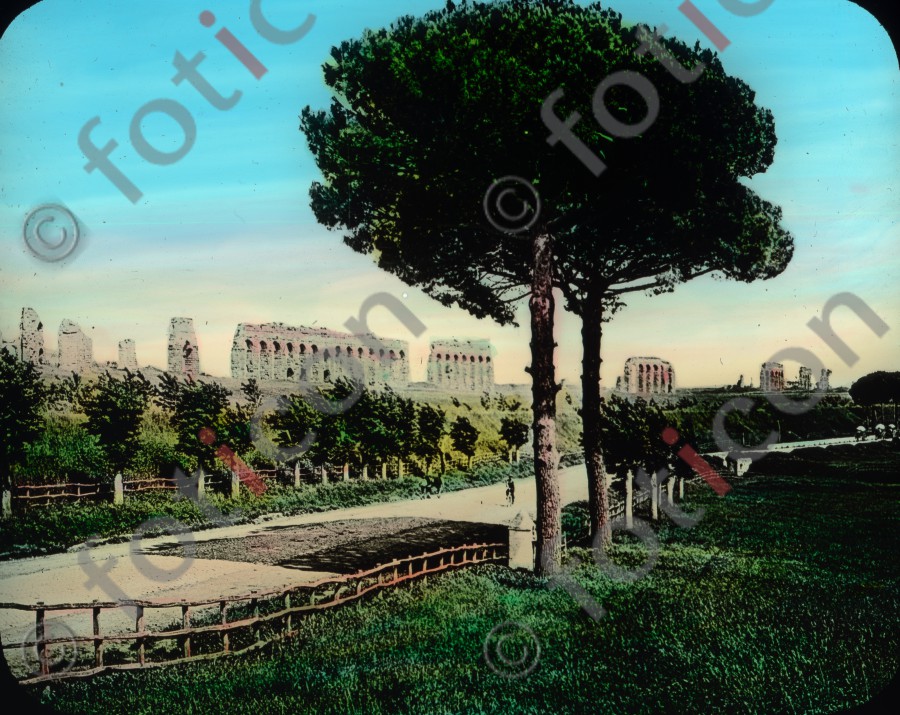 Via Appia | Via Appia - Foto simon-107-007.jpg | foticon.de - Bilddatenbank für Motive aus Geschichte und Kultur